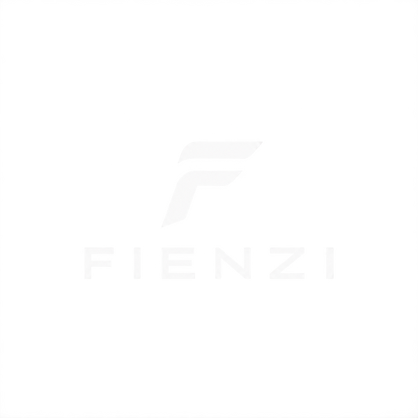 Fienzi